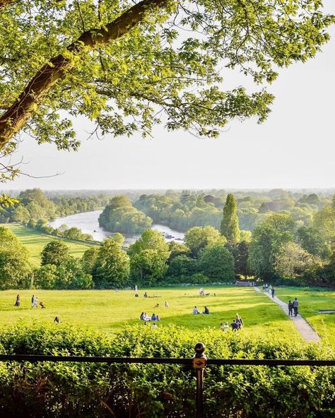 Secret London on Instagram: “Heaven on earth 😍🌿 (📸 by @ourcrazylondon) • • • • • • • • • • • #london #richmondhill #londonsummer #mysecretlondon⁣ #londonparks…” London Picnic, Richmond England, Richmond London, Secret London, Richmond Upon Thames, Last Days Of Summer, London Summer, Last Day Of Summer, London House