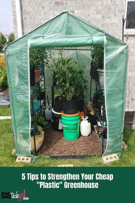 5 Tips to Strengthen Your Cheap “Plastic” Greenhouse Diy Small Greenhouse, Plastic Greenhouse, Cheap Greenhouse, Tiny Backyard, Winter Greenhouse, Diy Greenhouse Plans, Outdoor Greenhouse, Portable Greenhouse, Walk In Greenhouse