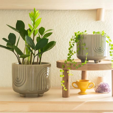 Beginner Pottery, Clay Planters, Cerámica Ideas, Handmade Plant, Creation Deco, Ceramic Plant Pots, Grey Ceramics, Pottery Crafts, Diy Pottery