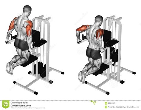 Exercising. Pulling Body In Graviton Stock Illustration - Image: 64597601 Pull Day Workout, Flabby Arm Workout, Karate Training, Flabby Arms, Body Coach, Build Muscle Mass, Workout Chart, Triceps Workout, Back And Biceps