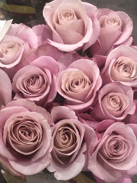 #roses #weddingflowers #flowers #blushroses #secretgardenrose Brooklyn Image, Rose Varieties, Hybrid Tea Roses, Garden Rose, Better Homes And Garden, Diy Wedding Flowers, Local Florist, Tea Roses, Flower Delivery