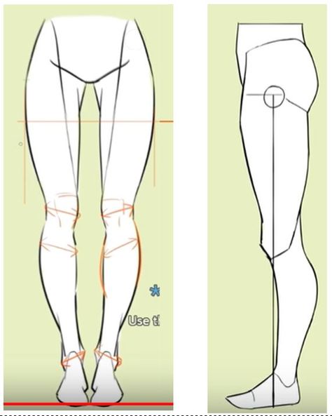 Leg Reference, Leg Anatomy, Female Anatomy Reference, Drawing Legs, Drawing Female Body, Drawing Body Poses, Anatomy Tutorial, Body Drawing Tutorial, Human Anatomy Drawing