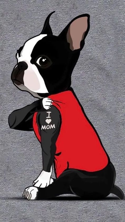 Boston Terrier Tattoo, Boston Terrier Art, Boston Terrier Funny, Boston Terrier Lover, Bulldog Francese, Boston Terrier Love, Boston Terrier Puppy, Boston Terrier Dog, Boston Terriers