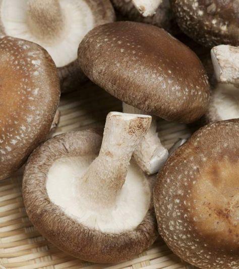 12 Amazing Benefits Of Shiitake Mushrooms For Skin And Health Shiitake Mushrooms Benefits, Glowing Skin Tips, Mushroom Benefits, Shiitake Mushrooms, Detox Soup, Liver Detox, Shiitake Mushroom, Detox Recipes, Chinese Medicine