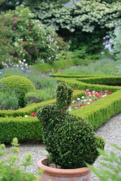 For Easter, a rabbit topiary is a popular in Europe.  Repin from freshpatio.com Bunny Topiary, Rabbit Garden, Topiary Garden, Boxwood Topiary, Have Inspiration, Garden Artwork, Topiaries, Formal Gardens, Garden Tips