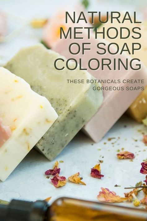 There are some really great natural methods of soap coloring, but a lot of them are not as straightforward as the synthetic stuff. Certain colorants will work best if added to the lye water, others work best when added during trace. Click to learn more about the various natural coloring options and how to use them. Easy Goat Milk Soap Recipe, Soap Additives, Soap Making For Beginners, Homestead Crafts, Natural Soap Colorants, Lye Water, Goat Soap, Natural Soaps Recipes, House Of Tomorrow