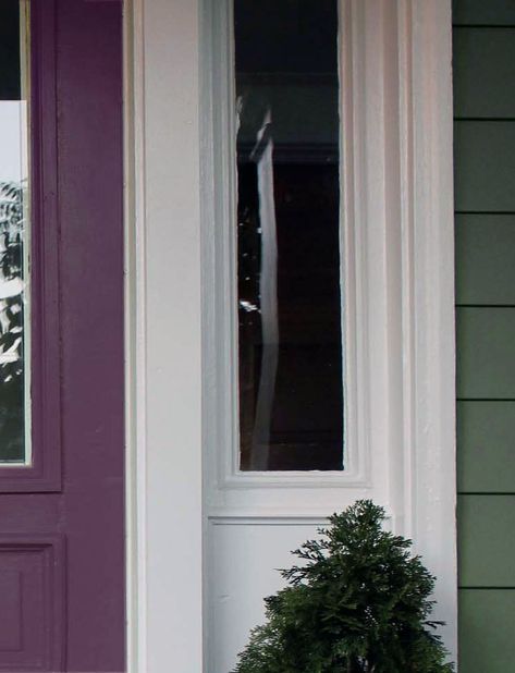 Light Green House, Purple Front Door, House Doors Colors, Sage Green House, Entry Door Colors, Painted Exterior Doors, Purple Front Doors, Green House Exterior, Green Siding