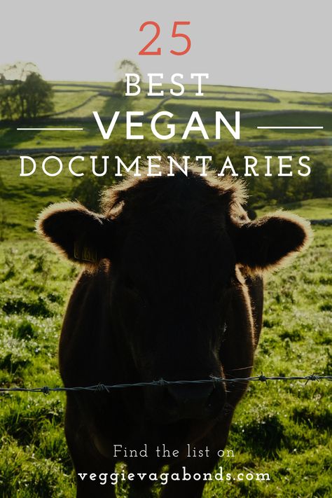 Want to learn a little more about veganism? This list contains 25 of the best vegan documentaries to watch to help you gain a little knowledge about a plant based way of life. Find out about what it means to follow a vegan lifestyle and the affects it has on the environment, animals and your health. This list has a whole bunch of vegan documentaries on Netflix plus more, to introduce you to the world of veganism from your sofa. Vegan For The Animals, Free Documentaries Website, Documentaries Netflix Best, Good Documentaries To Watch, Best Documentaries On Amazon Prime, Best Documentaries On Netflix, Vegan Documentaries, Vegan Lunch Box, Vegan Athletes