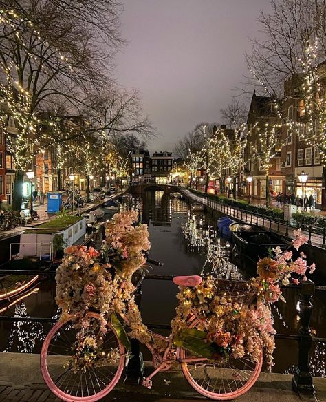 Christmas time! Amsterdam Aesthetic Christmas, Amsterdam City Aesthetic, Amsterdam Christmas Aesthetic, The Netherlands Travel, Christmas In Netherlands, Amsterdam Aesthetic Winter, Amsterdam November, Amsterdam January, Christmas In Holland