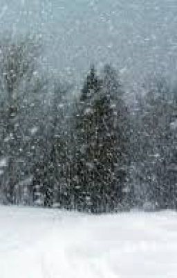 Read The Blizzard (Tintin fanfiction) #wattpad #fanfiction Snow Poems, Grand Island Nebraska, Western Nebraska, Winter Poems, Frozen Lake, Winter Storm, Snow Storm, Dog Sledding, Winter Snow