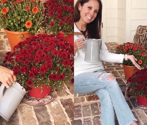 This Trick Will Keep Mums Alive All Season Long | Hunker Plant Saucers, Fall Flower, Fall Treats, Simple Tricks, Fall Flowers, Fall Thanksgiving, Garden And Yard, Container Gardening, Open Shoulder Tops