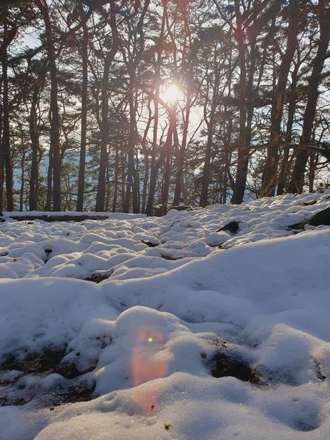 Sunny day in the Winter woods Sunny Winter Morning, Sunny Snowy Day, Sunny Winter Day, Sunny Winter, Winter Woods, Snow Days, Winter Sky, Winter Wood, Winter Mornings