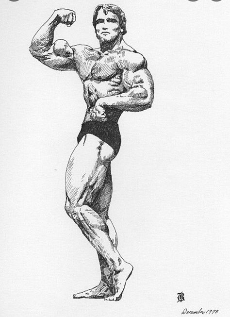 Body Builder Art, Arnold Bodybuilding, Arnold Photos, Pen Ink Drawing, Poster Color Painting, A Level Art Sketchbook, Gym Art, Pencil Sketch Images, Human Anatomy Drawing