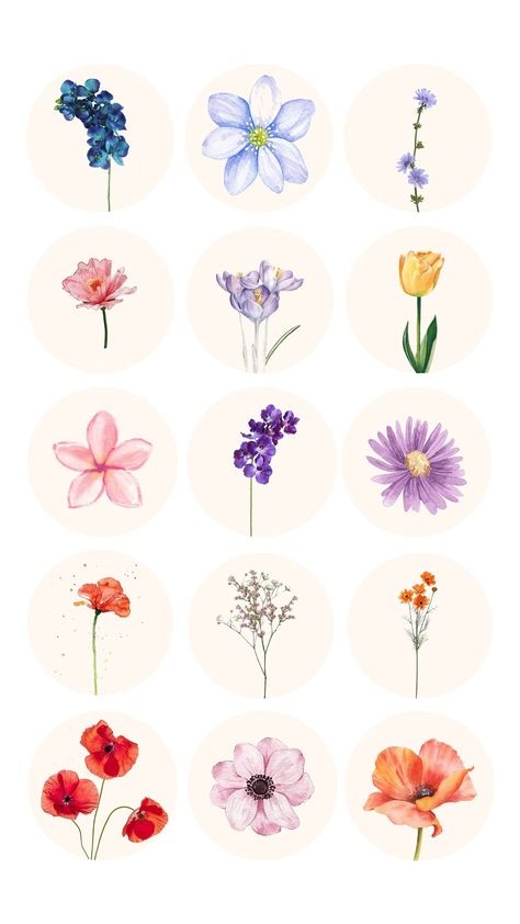 50+ Instagram Highlight Covers for Flower Bouquets | Boho, Botanical, Floral Highlight🔮#Insta_Highlight_Cover_Flower #Flowers_Highlight_Instagram #Pinterest_Highlight_Covers #Flower_Highlight_Covers_Instagram Cute Instagram Story Covers, Picture For Instagram Highlight, Insta Hilight Covers, Summer Highlights Instagram, Aesthetic Cover For Instagram Highlights, Pinterest Highlight Covers, Instagram Highlight Inspiration, Insta Story Covers Icons, Cute Insta Highlight Covers Aesthetic