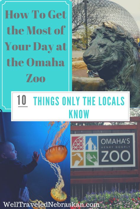 Evertything you need to know about the Omaha henry doorly zoo. Hours, costs, hotels nearby and more Henry Doorly Zoo Map, Omaha Henry Doorly, Omaha Zoo Pictures, Travel Nebraska, Omaha Zoo, Zoo Pictures, Midwest Vacations, Vacation 2023, 2024 Family