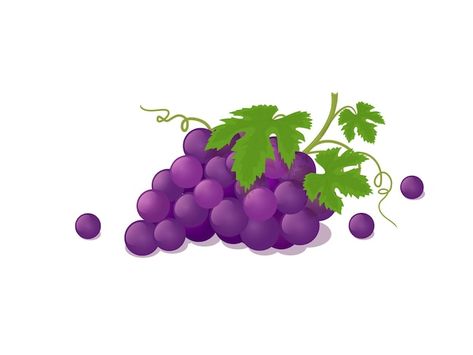 Grapes