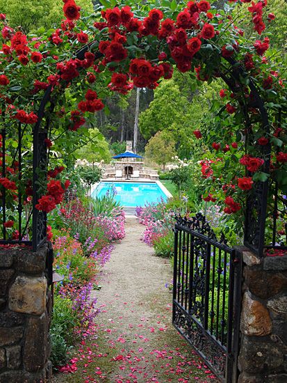 Red Climbing Roses, Country Garden Design, Romantic Backyard, Metal Garden Gates, Country Garden Decor, Garden Estate, Pergola Garden, English Country Gardens, The Secret Garden