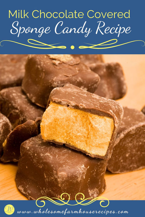 chocolate covered sponge candy a Christmas Candy recipe Honey Comb Candy With Honey, Sponge Candy Recipe Easy, Needhams Recipe Maine, Sponge Candy Recipe Homemade, Honeycomb Candy Recipe, Honey Candy Recipe, Sponge Candy Recipe, Milk Candy Recipe, Chocolate Covered Honeycomb Recipe