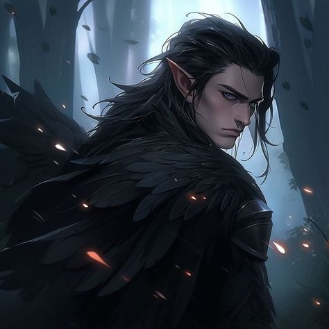 Raven Cloak, Dnd Elves, Male Elf, Elves Fantasy, Photo Prompts, Dungeons And Dragons Art, Dragon Tales, Elf Art, Night Elf