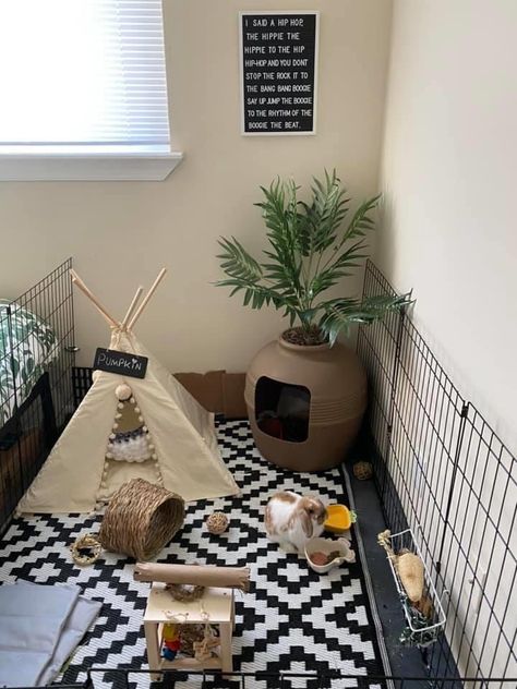 Bunny Play Pen, Indoor Bunny House, Diy Bunny Cage, Indoor Rabbit House, Bunny Care Tips, Indoor Rabbit Cage, Diy Guinea Pig Cage, Rabbit Pen, Rabbit Enclosure