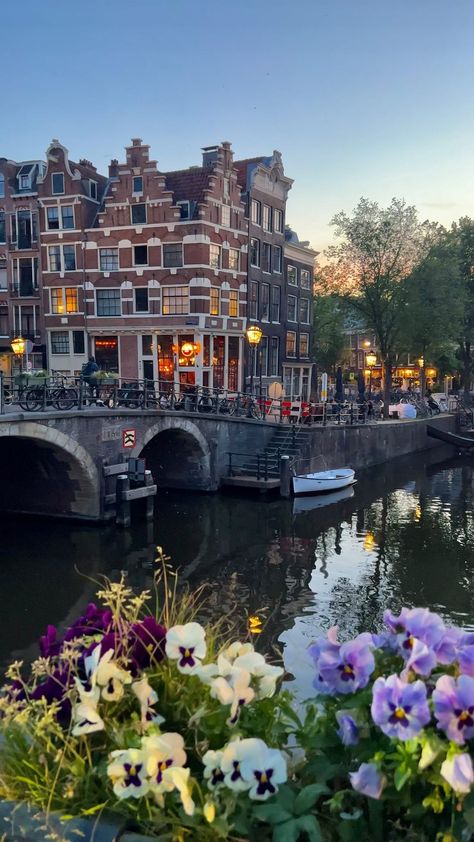 bodiek on Instagram: Amsterdam ✨🤍 University Of Amsterdam Aesthetic, Amsterdam Netherlands Aesthetic, Amsterdam Aesthetic Summer, University Amsterdam, Amsterdam Summer, Netherlands Aesthetic, Aesthetic Amsterdam, Amsterdam Pictures, University Of Amsterdam