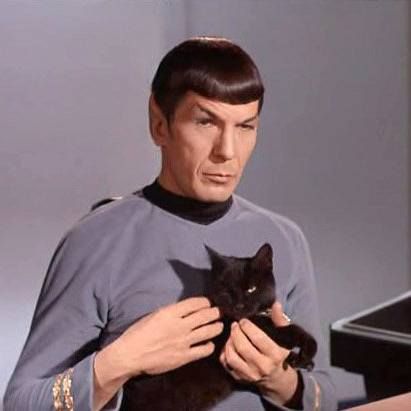 Even Spock knew that having the luxury of a black cat by your side lets you boldly go where no man has gone before. 🖖✨ This is the epitome of Purrfect Panache. 😺🌌 #SpockAndCat #StarTrek #BoldlyGo #BlackCatMagic #FelineCompanion #PurrfectPanache #CatLovers #InstaCats #GeekLife #SciFiCats #LuxuryPets Mr Spock, Leonard Nimoy, Animal Magic, Geek Life, Spock, My Youth, Childhood Memories, Star Trek, Feline