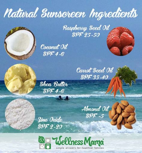 How to Make Natural Homemade Sunscreen Sunscreen Recipe, Wellness Mama, Mama Natural, Diy Kosmetik, Homemade Lotion, Carrot Seed Oil, Raspberry Seed Oil, Home Remedies For Hair, Natural Sunscreen