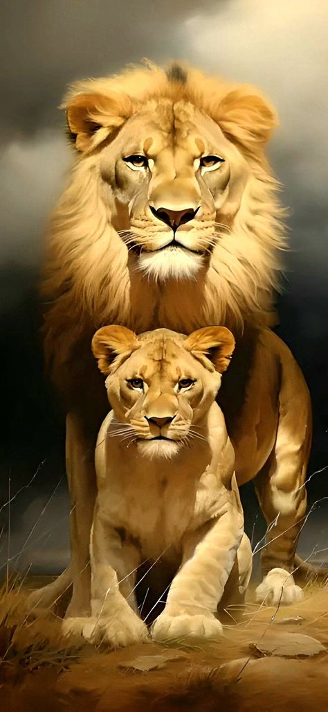 Home Design Architecture, Lioness And Cubs, Wild Animal Wallpaper, Lion Photography, Lions Photos, Wild Animals Pictures, Lion Wallpaper, Lion Images, Big Cats Art