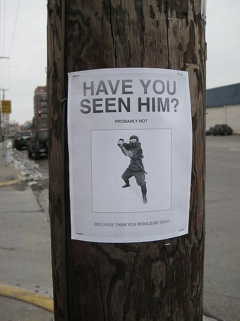 Ninja gone missing. Funny Street Signs, Telephone Pole, Pole Sign, Clean Humor, Guy Pictures, Lost & Found, Street Signs, Have You Seen, Funny Signs