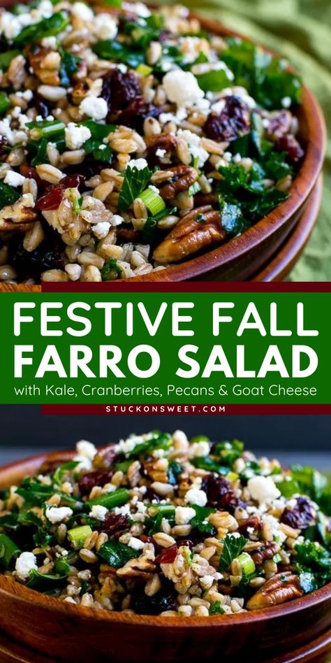 Learn how to make the best farro salad for your easy Thanksgiving side dishes! It's an easy salad recipe that's still festive and full of Fall flavors, but light and healthy, just what our bodies need after two days of the goods. A must-try! Farro Butternut Squash Salad, Farro And Mushroom Recipes, Fall Cold Salads, Farro Salad Recipes Healthy, Kale Farro Salad, Farro Side Dish, Farro Recipes Salad, Farro Side Dish Recipes, European Salad Recipes