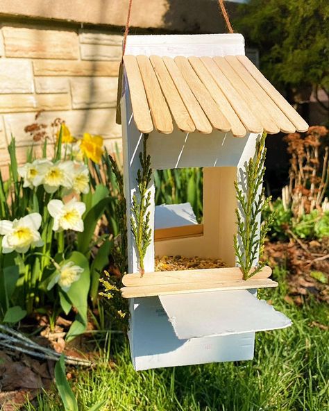 Best bird feeders