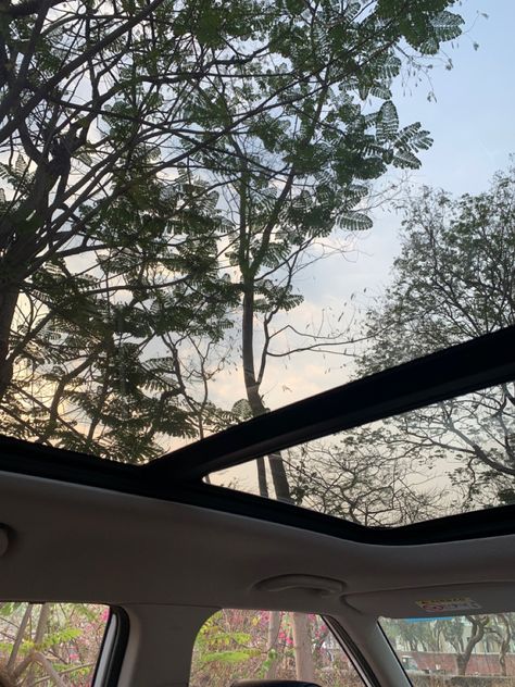 Sunroof Aesthetic, New Car Photo, Nightclub Aesthetic, Inside Car, Aesthetic Captions, Sky Images, Road Trip Car, Car Aesthetic, Plant Aesthetic