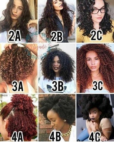 4D Hair Type - Do You have It? Find Out TODAY [w/ Charts  Photos] 4d Hair Type, 4d Hair, Hair Type Chart, Fesyen Rambut, Curly Hair Types, Hair Porosity, Curly Girl Method, Curly Hair Inspiration, Curly Hair With Bangs