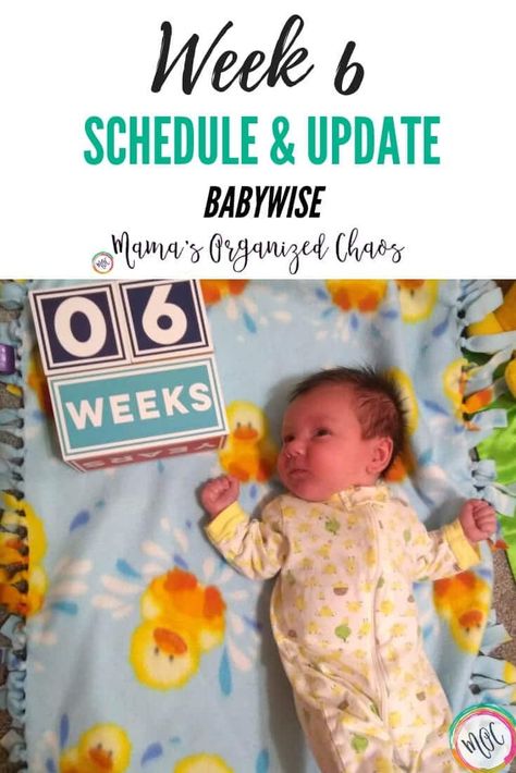 babywise 6 weeks schedule and update #babywise #babyschedule #babysleep #babysleeptips #parenting101 Babywise Schedule, Wonder Weeks, Baby Wise, Toddler Schedule, Baby Schedule, Newborn Hacks, Baby Sleep Problems, Organized Chaos, Before Baby