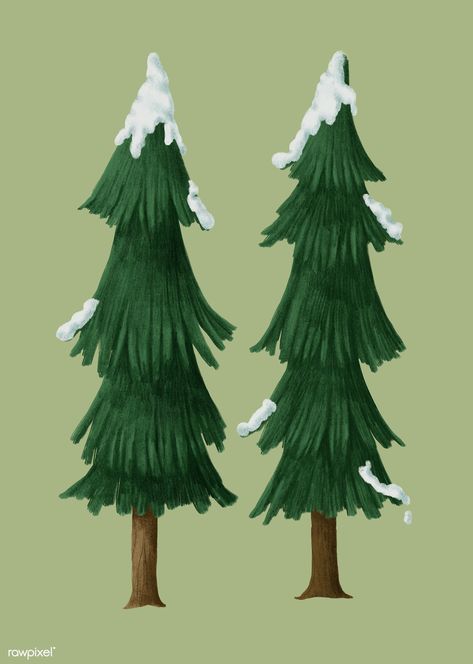 How To Draw Evergreen Trees, Pine Tree Illustration Simple, Pine Trees Illustration, Winter Tree Illustration, Christmas White And Gold, Pine Illustration, Pine Tree Illustration, Types Of Pine Trees, White Background Christmas