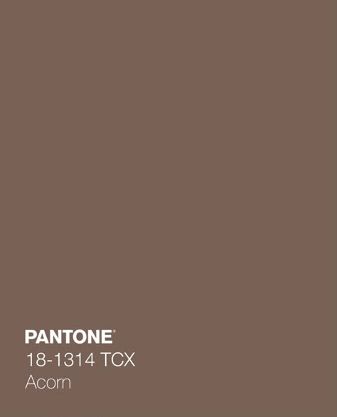 Colour Pantone, Brown Pantone, Dusty Brown, Phone Photo, Phone Photo Editing, Pisces Moon, Soft Gamine, Skin Colour, Pretty Colors