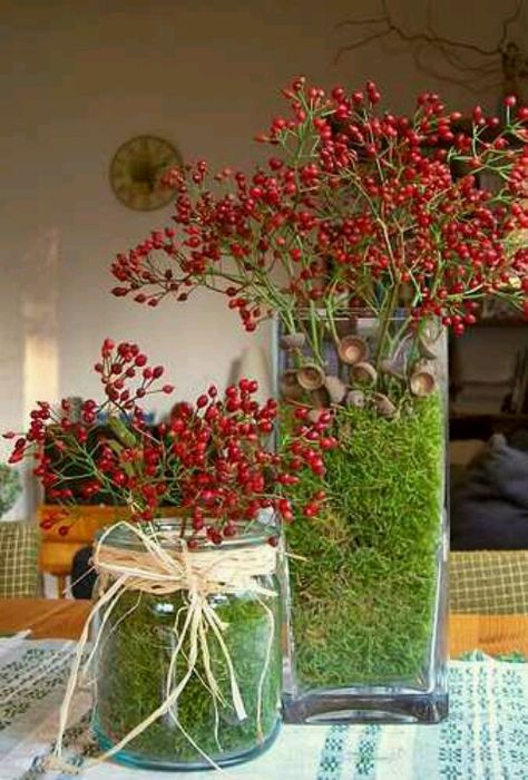 Love the fall Multiflora Rose, Rose Hips, Deco Nature, Invasive Species, Deco Floral, Fall Centerpiece, Noel Christmas, Christmas Centerpieces, Christmas Deco