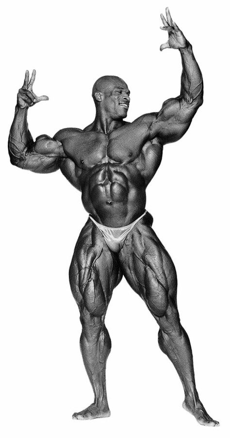 1999 - Ronnie Coleman, USA (13 May 1964), height 5-foot-11 (180 cm) - Winner of the Mr Olympia Mr Olympia Winners, Ronnie Coleman, Ripped Body, Natural Man, Mr Olympia, Portrait Images, Figure Drawing Reference, Blackest Knight, Human Anatomy