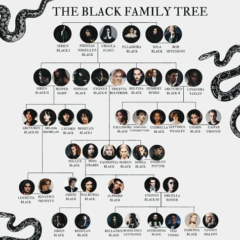 Sirius Black Family, The Black Family Tree, Hp Headcanon, Black Family Tree, Harry Potter Family Tree, Harry Potter Sirius Black, The Black Family, Harry Potter Sirius, Harry Potter Wiki