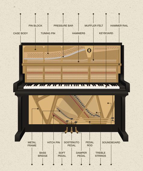 Piano History, Keyboard Noten, Piano Pedals, Music Basics, Music Theory Piano, Piano Pedagogy, Beginner Piano Music, Music Theory Lessons, Piano Teaching Resources