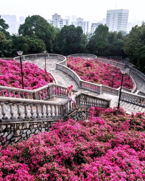 📍Telok Blangah Hill Park This park is located about 15mins walk from Telok Blangah MRT. The park is huge, look for signs directing you to terrace garde...... Architecture Singapore, Little India Singapore, Singapore Things To Do, Singapore Vacation, Singapore Travel Tips, Places In Singapore, Singapore Architecture, Things To Do In Singapore, Singapore Tour