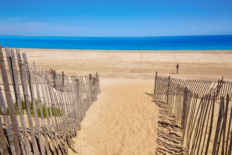 An arm-shaped headland on the east of Massachusetts, Cape Cod is often considered synonymous with ‘beach’ and offers some of the best beach destinations not just in the United States but in the world. Featuring a boundless stretch of astounding coastline, historic sites, natural attractions, and tropical flora and fauna, Cape Cod is among the most-visited places on earth. The Bay is divided into four sections namely the upper, the middle, the lower, and the outer cape. Wellfleet, a town in the O Barnstable Massachusetts, Massachusetts Cape Cod, Best Beach Destinations, Cap Cod, Chatham Cape Cod, Cape Cod Bay, Cape Cod Vacation, Cape Cod Beaches, East Coast Road Trip