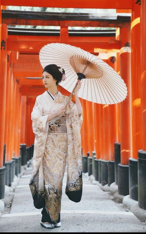 Kimono Poses Reference, Meiji Fashion, Japanese Yukata Women, Traditional Kimono Japan, Kimono For Ladies, Kimono Pose, Kimono Poses, Woman In Kimono, Yukata Women