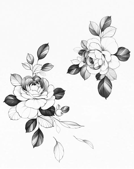 Instagram: dobby.house Delicate Flowers Drawing, Peony Outline Tattoo, Peony Flower Tattoo Design, Poppy Tattoo Design, Peony Flower Drawing, Poppy Flower Drawing, Peony Flower Tattoos, Peony Drawing, Peony Illustration