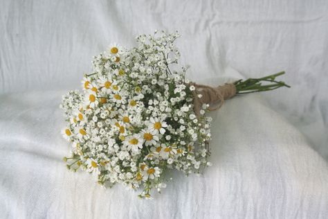 Small flower girl bouquet made simply with gypsophila and tanacetum. Finished with burlap and twine Daisy Bridesmaid Bouquet, Simple Bridesmaid Bouquets, Daisy Bouquet Wedding, Small Bridesmaid Bouquets, Buttonhole Flowers, Small Wedding Bouquets, Gypsophila Bouquet, Gypsophila Flower, Simple Wedding Bouquets