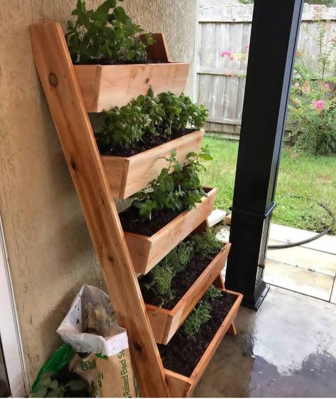 Ladder Planter, Garden Ladder, Herb Garden Pallet, Outdoor Herb Garden, Lots Of Plants, Cedar Planter Box, Diy Herb Garden, Cedar Planters, Wooden Planter