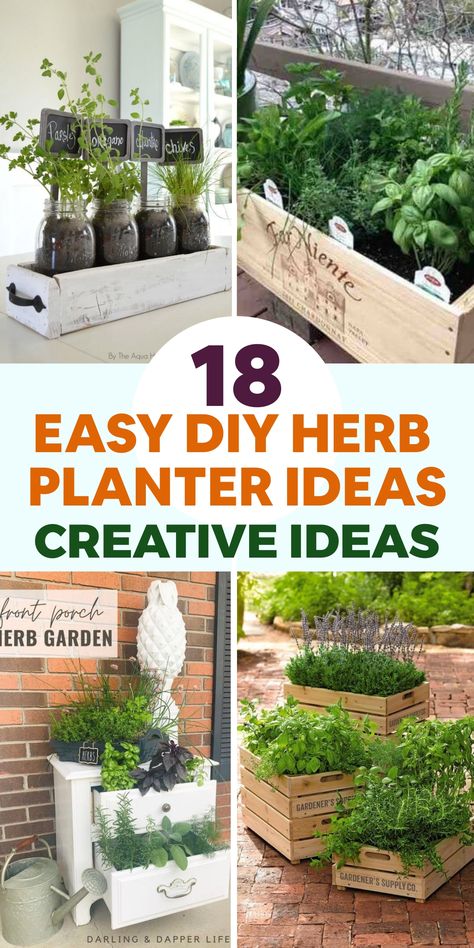 Enhance your home décor with these simple DIY herb planter concepts that infuse a breath of freshness and liveliness into your living area. Show off your gardening skills by constructing an elegant hanging herb garden from a repurposed wooden ladder or frame, adorned with small pots or mason jars holding fragrant herbs, creating a vertical garden that serves as a chic and space-efficient herbal showcase in your kitchen or dining zone. Herb Planter Ideas, Diy Herb Planter, Amaranth Plant, Diy Entry Table, Jungle Theme Decorations, Mason Jar Planter, Diy Headboard Upholstered, Hanging Herb Garden, Hanging Herbs