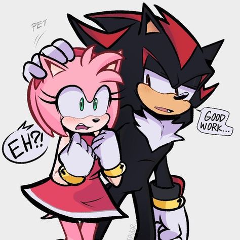 Cream Sonic, Shadamy Comics, Arcee Transformers, Naruto Y Hinata, Shadow And Amy, Disney Theory, Amy The Hedgehog, Sonic Heroes, Sonic And Amy