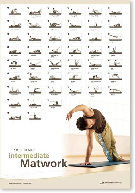 Amazon.com : STOTT PILATES Wall Chart - Intermediate Matwork : Fitness Charts And Planners : Sports & Outdoors Pilates Wall, Pilates Anytime, Stott Pilates, Pilates Matwork, Pilates Machines, Mat Pilates, Pilates Studio, Work Organization, Valencia