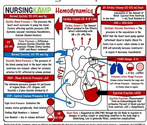 Cardiac Surgery Nursing, Cardiac Catherization Nursing, Hemodynamics Nursing, Cardiac Pathology, Paramedic Study, Cath Lab Nursing, Cardiac Cath, Patient Care Technician, Nurse Notes